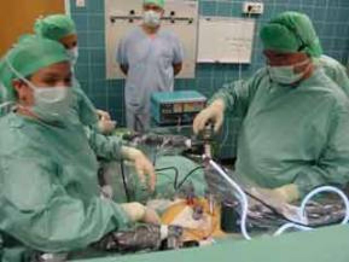 Rimini capitale della chirurgia ginecologia on line - 