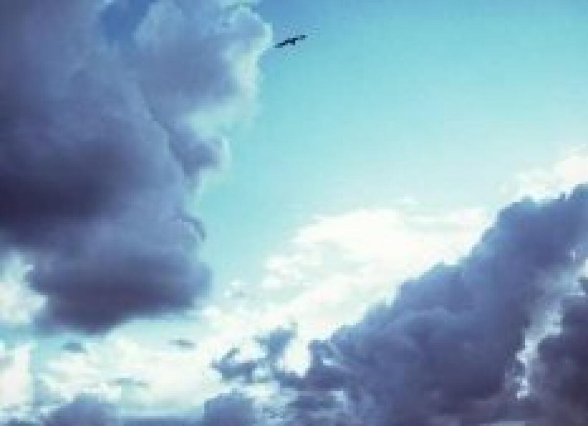 Allerta meteo per vento forte - 