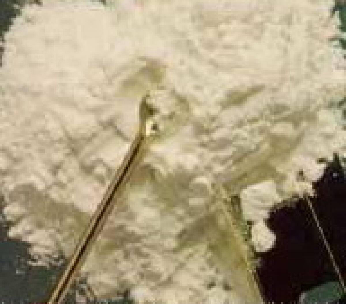 Droga: 18 anni di reclusione a Massimo Marchi - 