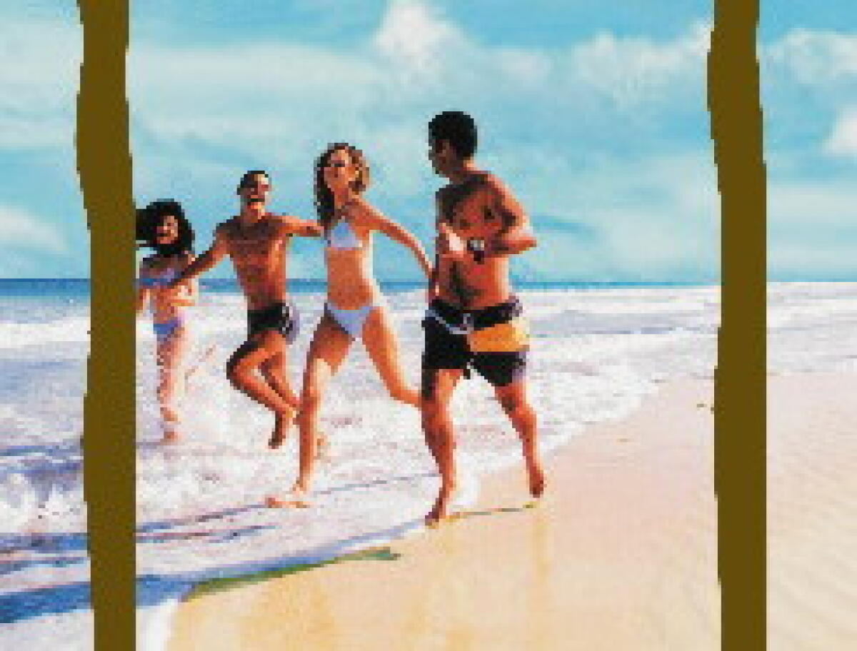 Bravo e Baccin ora dirigono il tortuga beach di Rimini - 