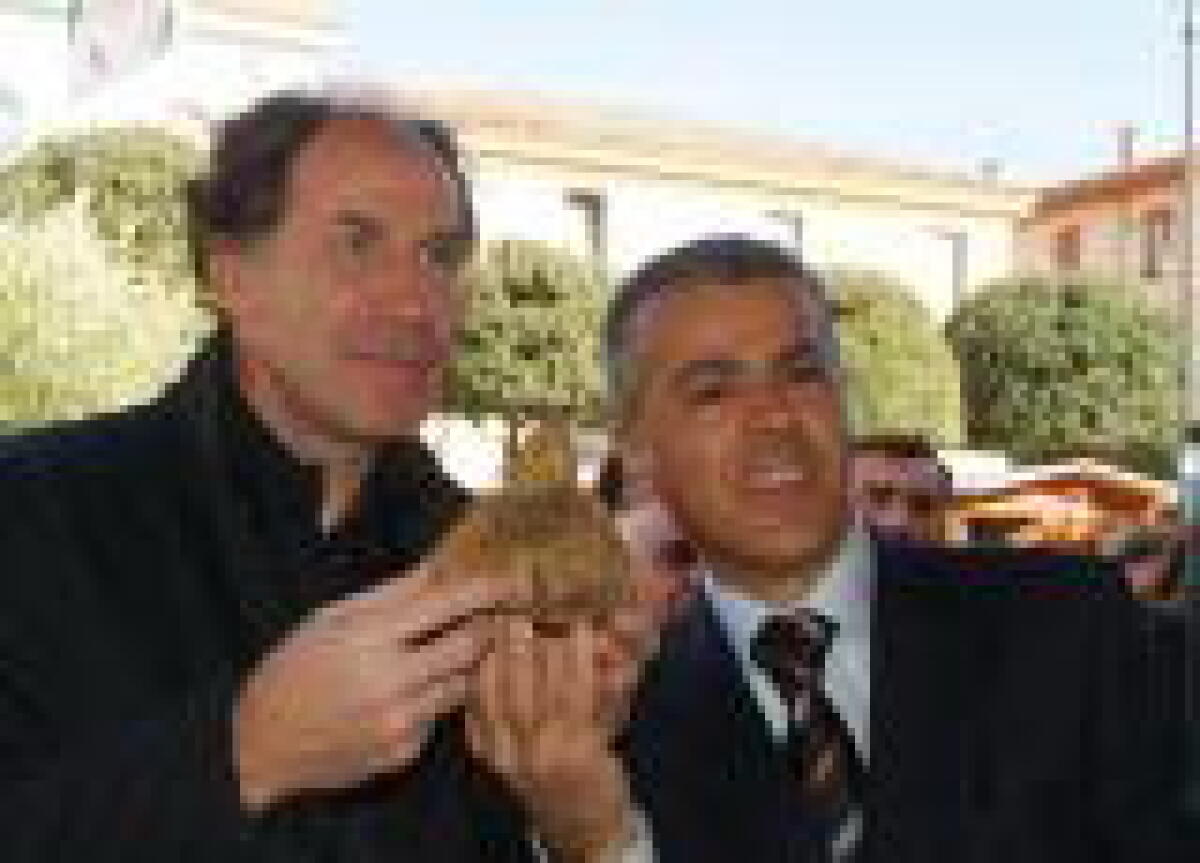 Acqualagna: tartufo in regalo a Berlusconi - 