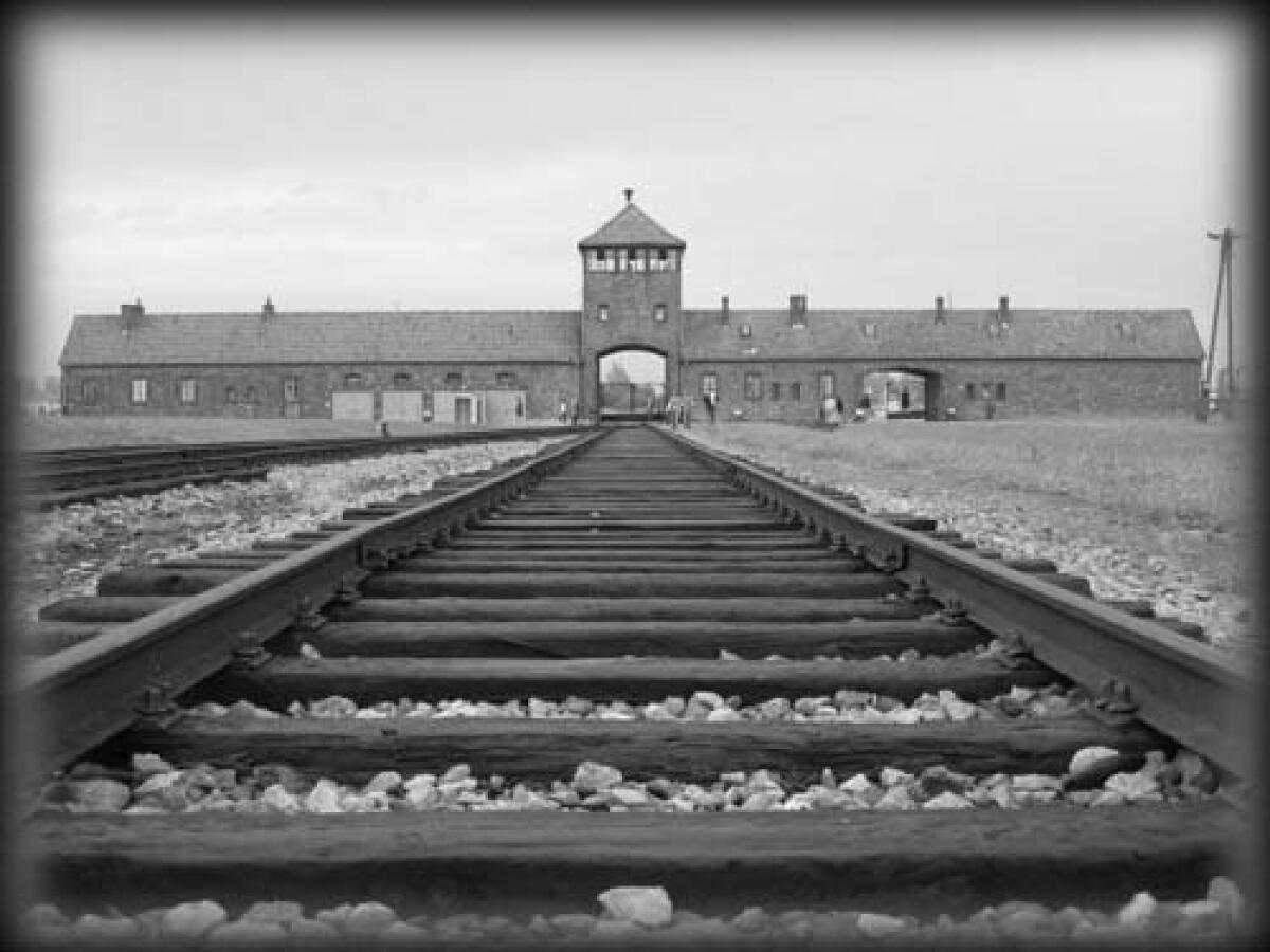Giorno della Memoria: l'intervento di Karen Visani - 