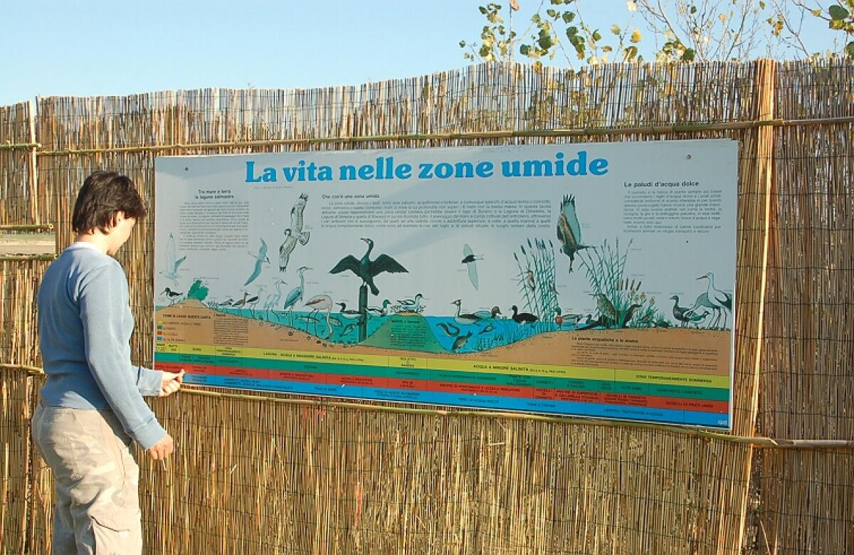 WWF Rimini: appuntamenti per il fine settimana - 