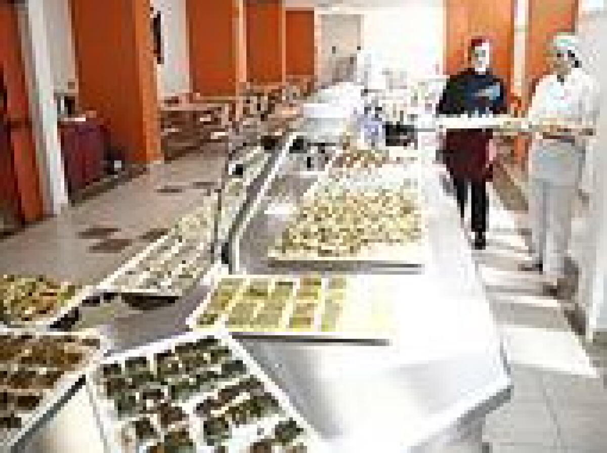 Nuova mensa e cucina dell'ospedale Infermi - 