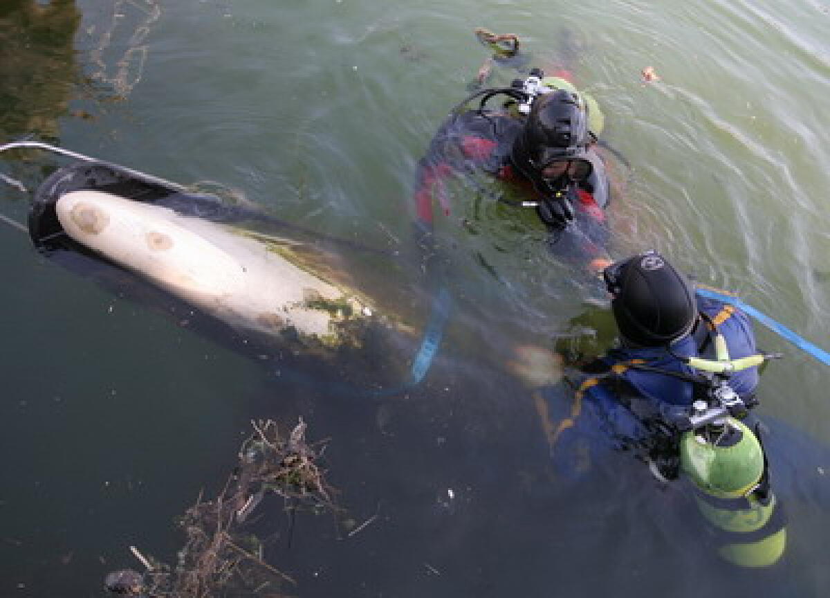 Porto canale Rimini: recuperate imbarcazioni affondate - 