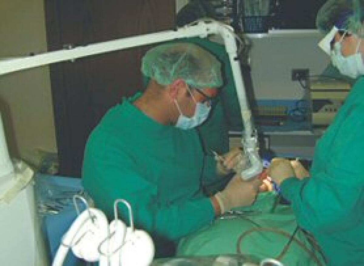 Operata a Rimini ragazza con 33 denti in più - 