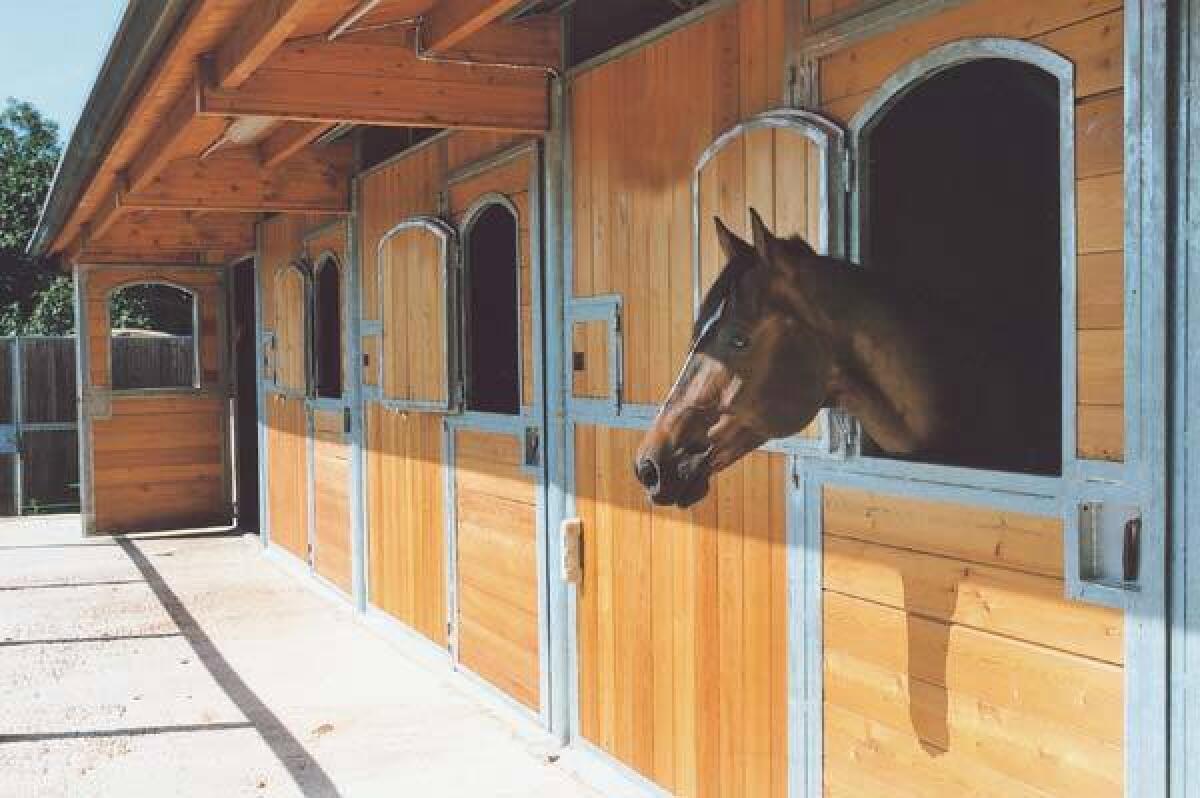 Stalla e box per cavalli abusivi sequestrati -
