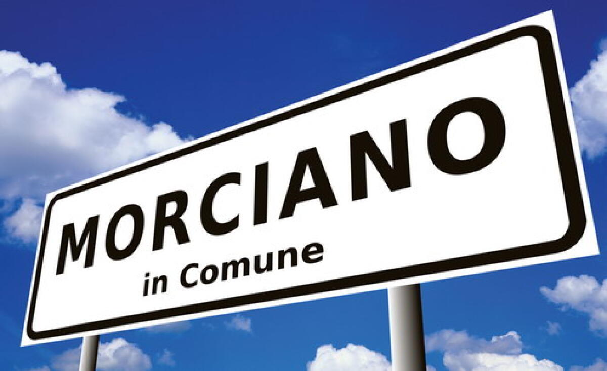 Al Palapedriali ogni sera spettacoli gratuiti per tutti -