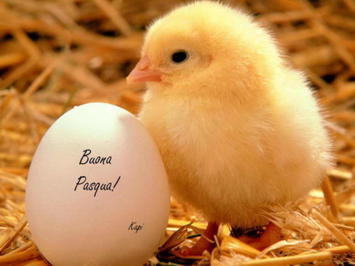 Rimini si prepara al week end di Pasqua -