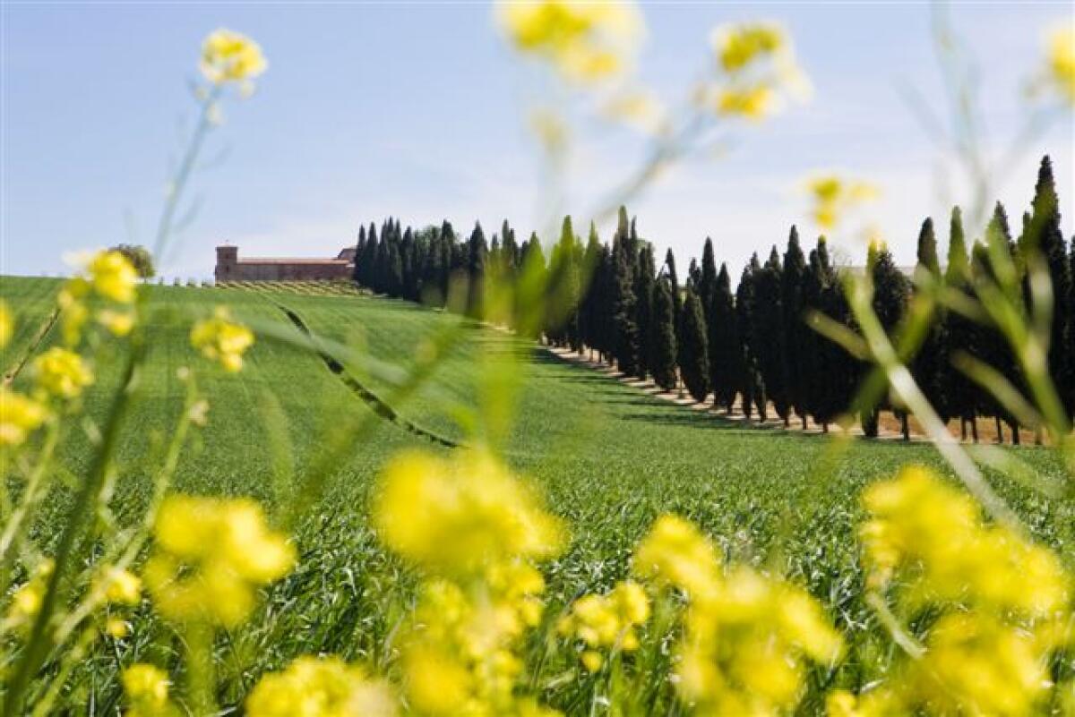 Crea il tuo Vino: progetto Cantine Spalletti -