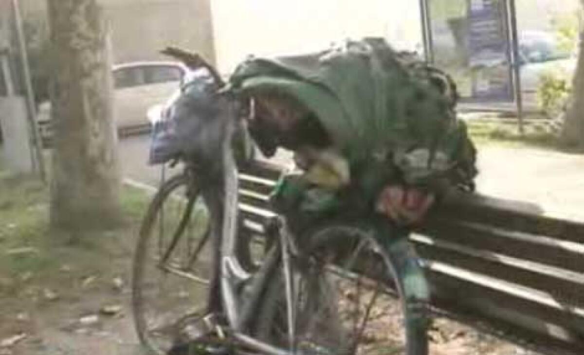 Barbone bruciato: accusati volevano buttargli acqua - 