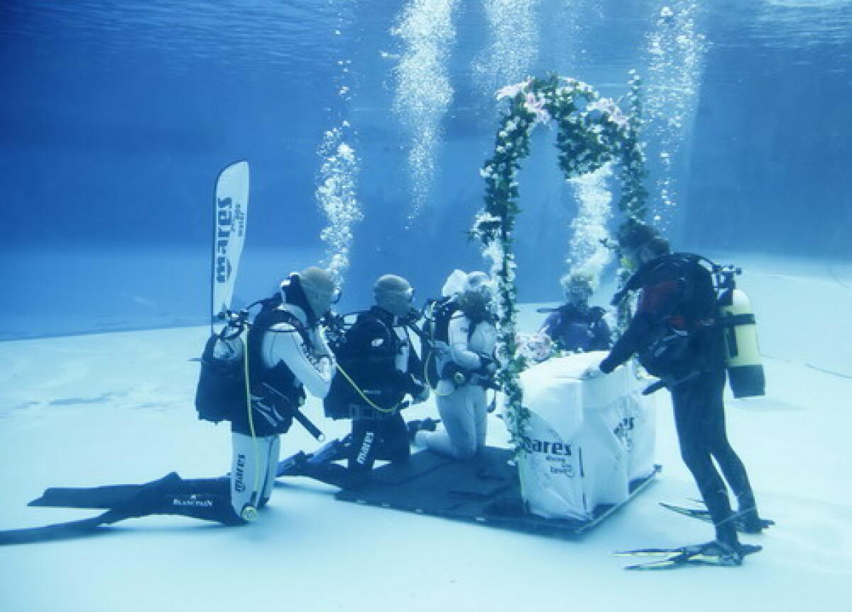 Si sposano sott'acqua nella vasca delfini di Riccione -