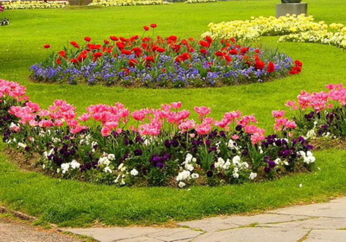 Anche quest'anno furti di fiori da aiuole pubbliche - 