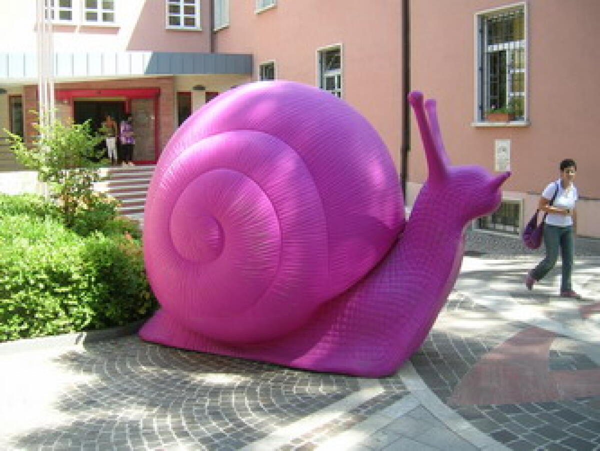 Chiocciole rosa..al municipio di Riccione - 