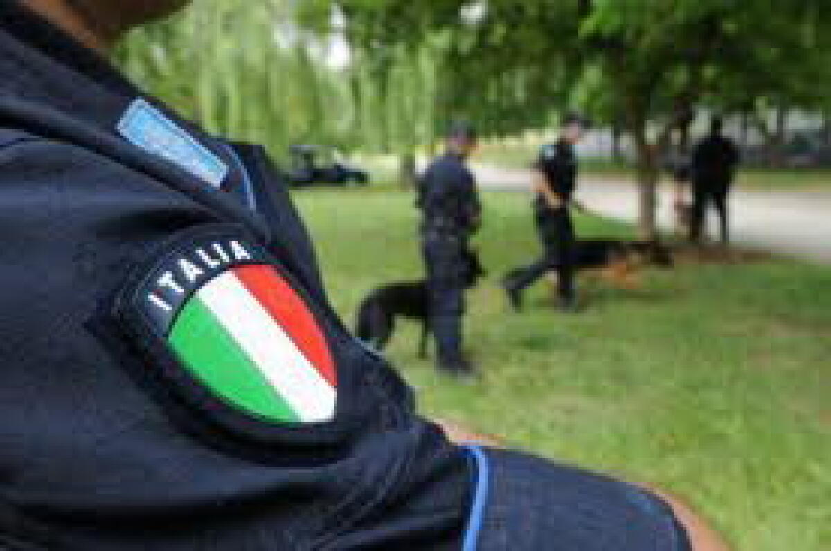 Cane atidroga trova marijuana in tenda a Riccione - 