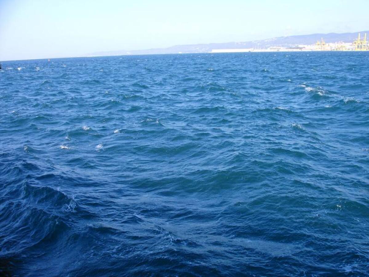 Cade in mare: si salva dopo 4 km a nuoto - 