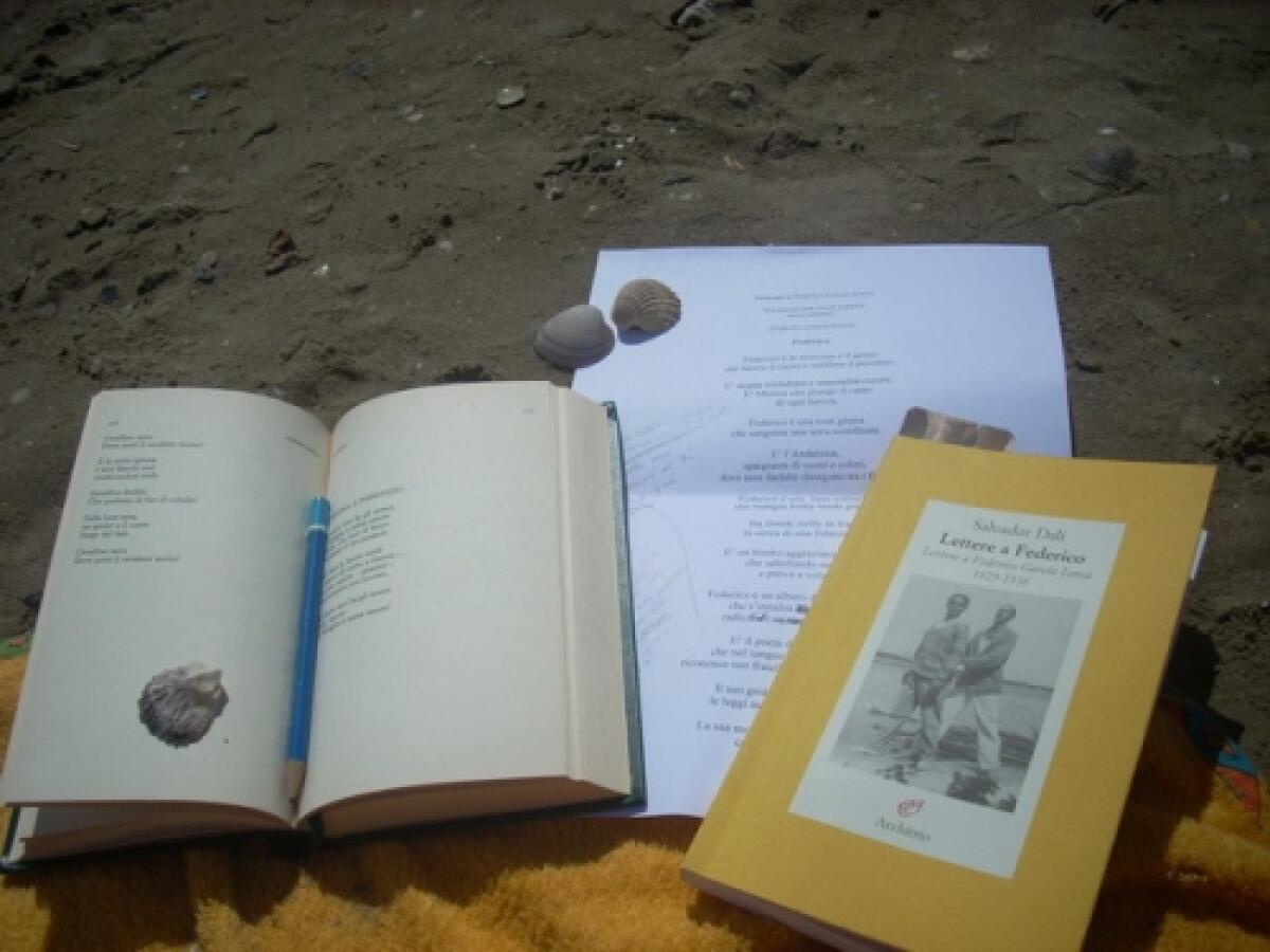 'La lettura riabilita': presentato progetto a Santarcangelo -