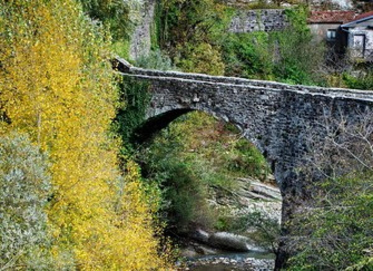 Allarme crollo ponte medievale Casteldelci -