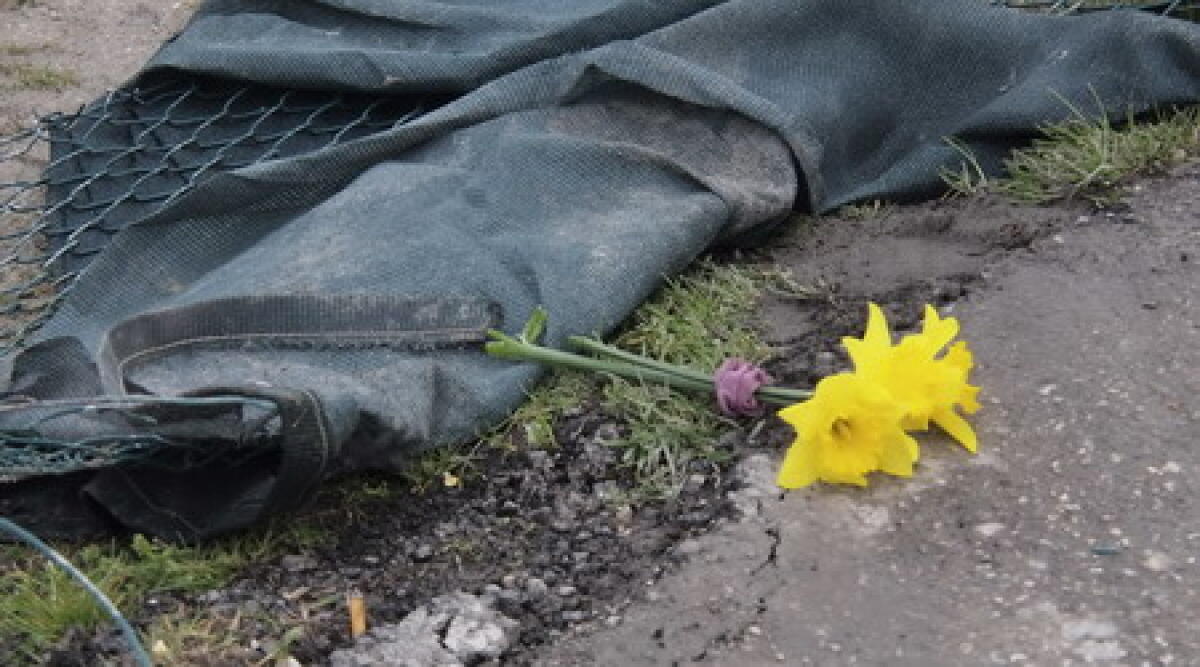 Giovani morti nel lago di Bellaria, diverse le cause - 