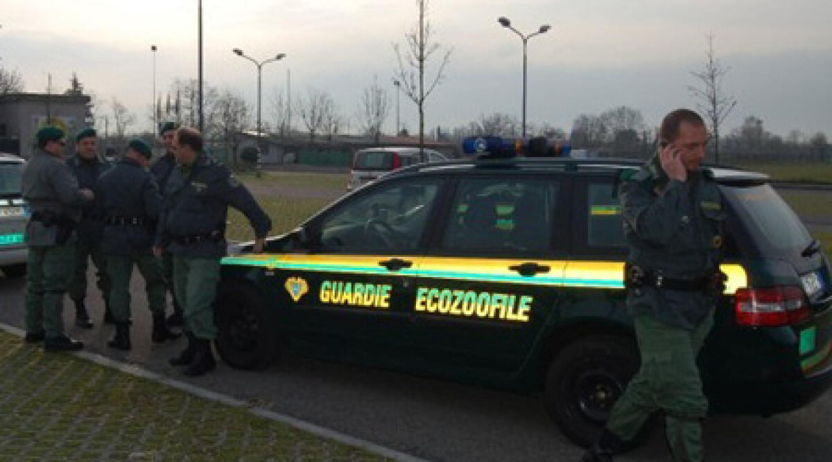 Morciano, approvata convenzione per le guardie giurate zoofile -