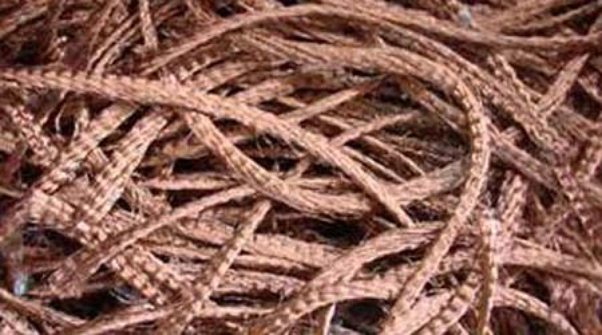 Carabineri recuperano rame rubato tra Ravenna e Pergola - 