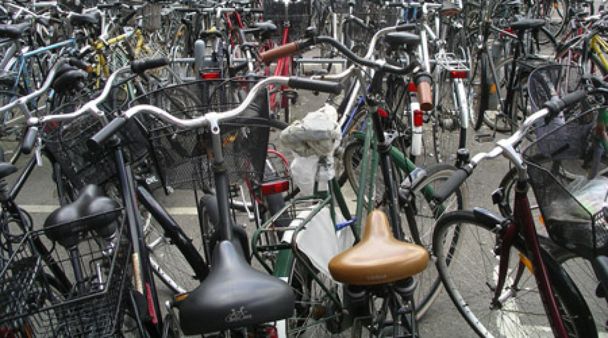 Giovani turisti ravvivano la vacanza rubando bici. A bellaria. -
