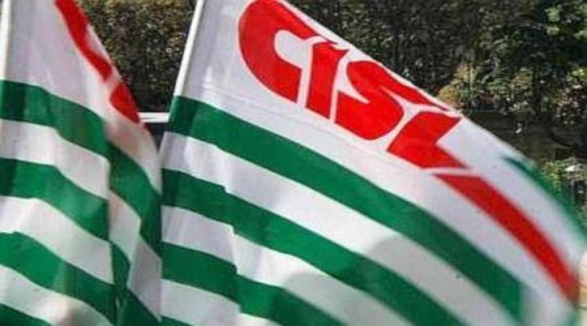 Cisl Rimini: oltre 3000 firme raccolte. Prosegue mobilitazione - 
