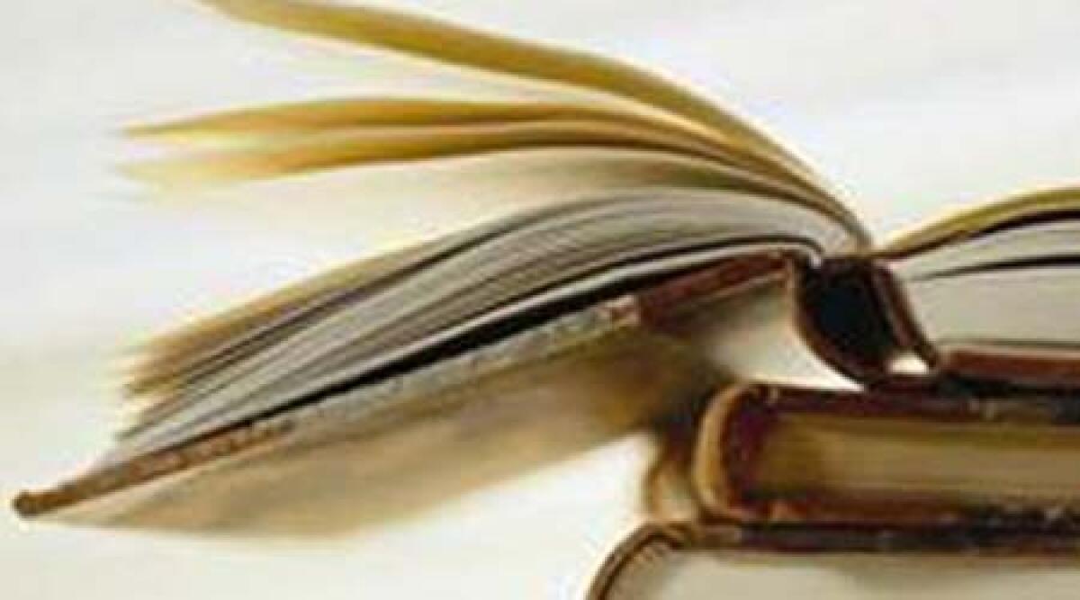Laurea in scienze della mediazione linguistica a Misano -