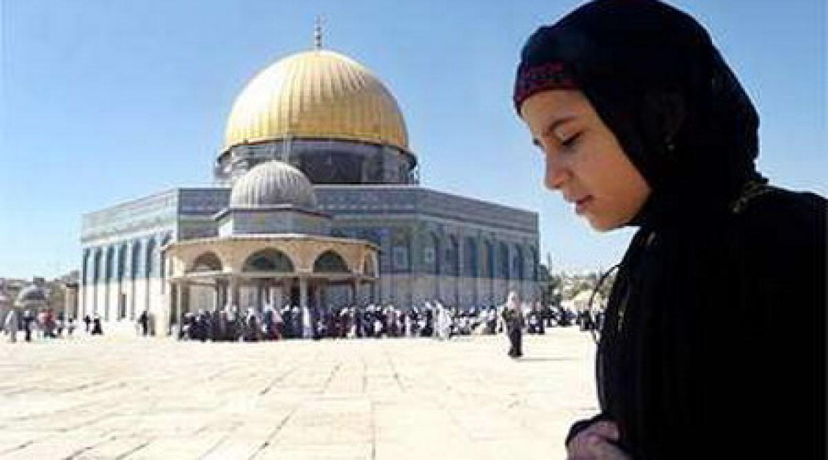 Volontariato europeo Palestina, giovedi'a Santarcangelo presentazione progetto - 