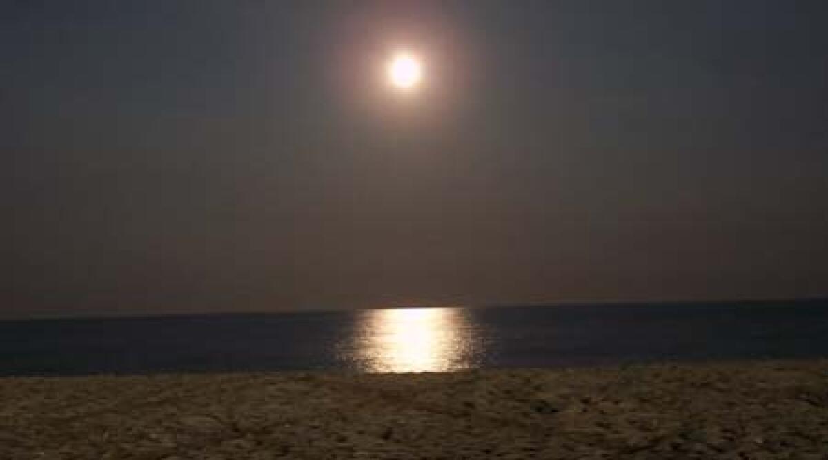Spiagge aperte di notte sempre piu' vicine? Dichiarazione dell'Assessore Galli - 