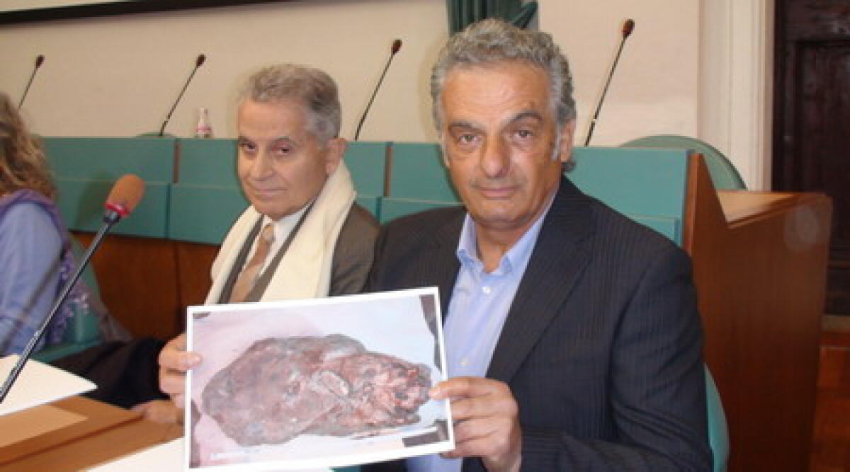 Autista di ambulanza ritrova fossile di dinosauro a Novafeltria - 