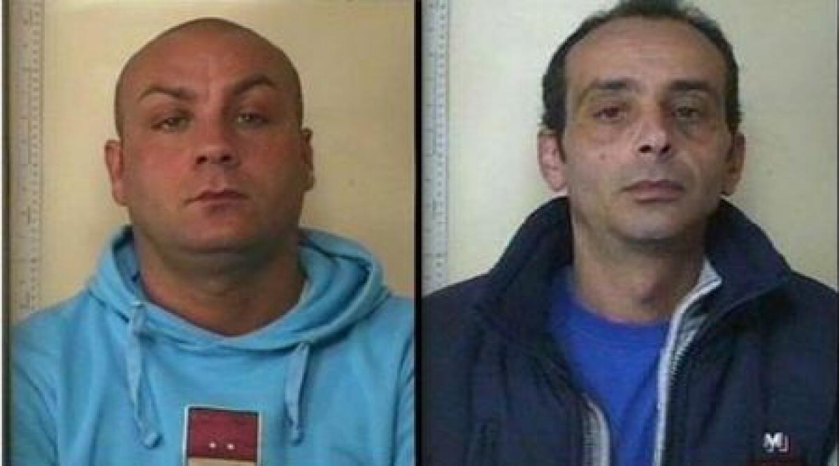 Sequestrati 40 kg di hashish e 80 grammi di cocaina: due in manette a Bellaria - 