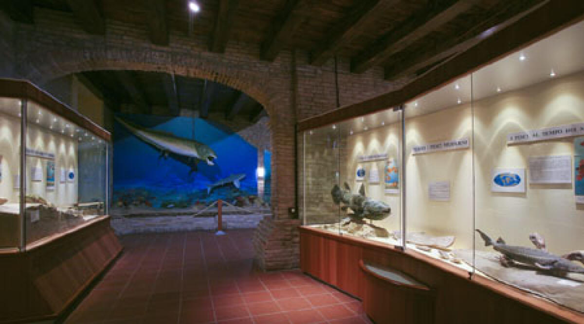 Sabato 19 maggio, Mondaino apre i suoi musei di notte -