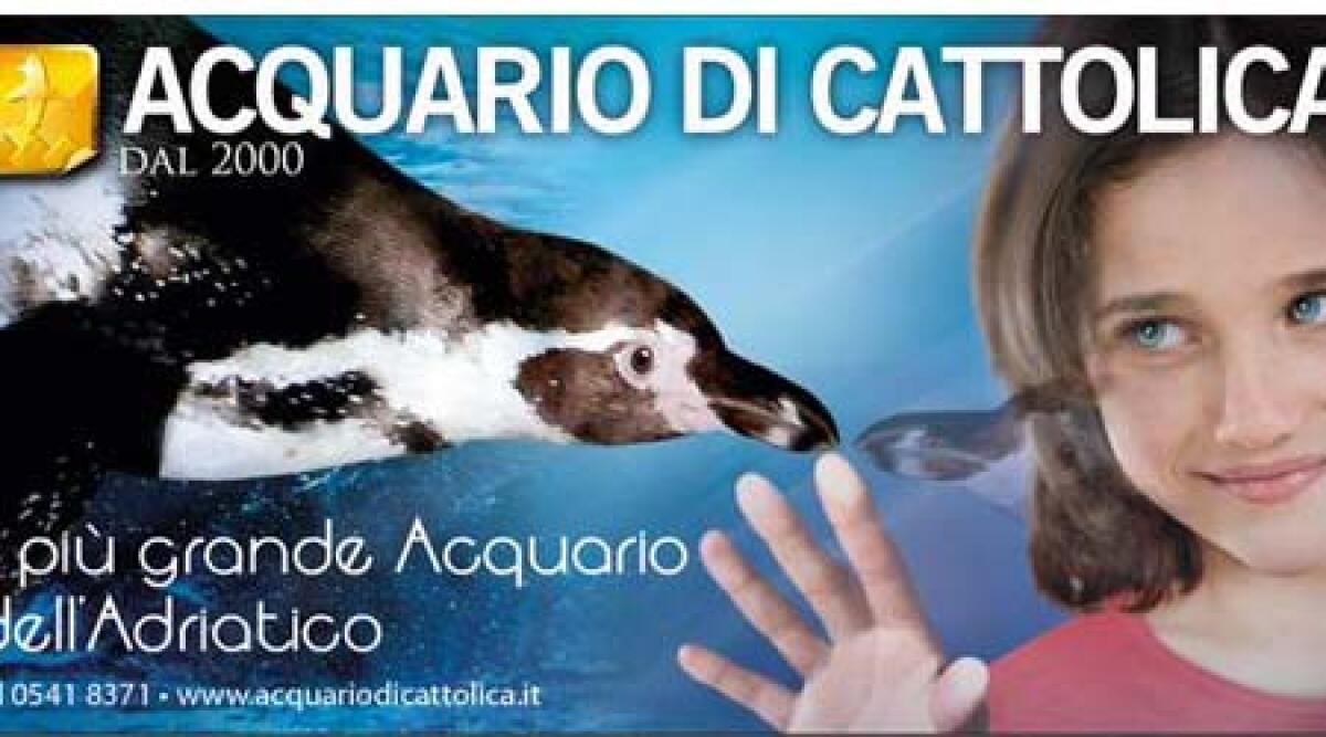 Aquario di Cattolica aperto fino alle 23.30 - 