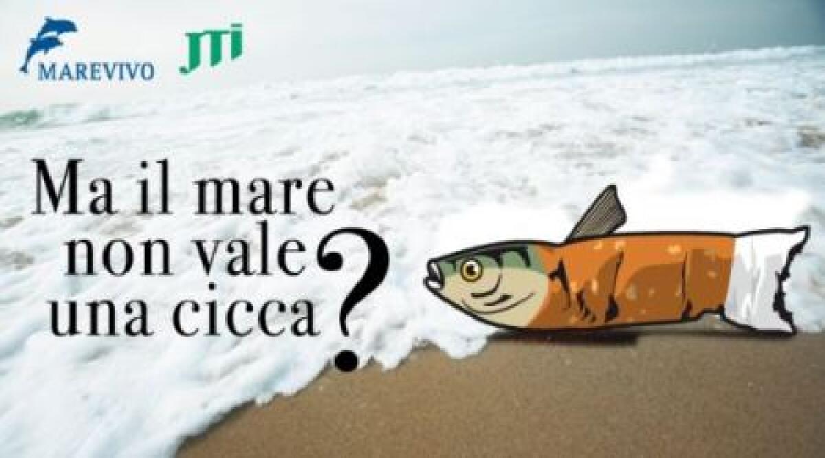 In Romagna iniziativa 'Marevivo': liberare le spiagge dai mozziconi - 