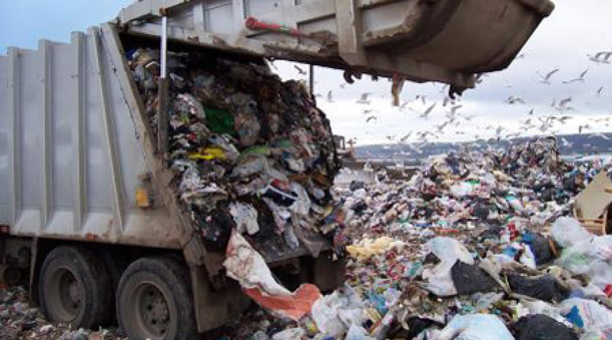 Reati ambientali: Rimini maglia nera in regione - 