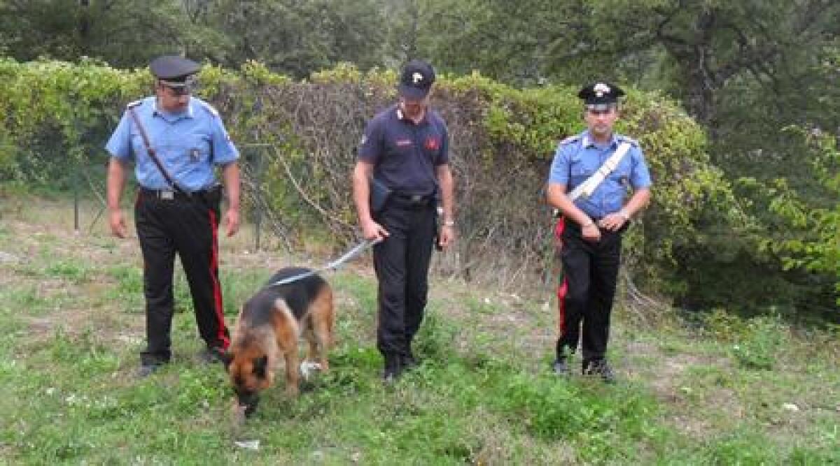 Video: proseguono ricerche 36enne scomparso a Casteldelci - 