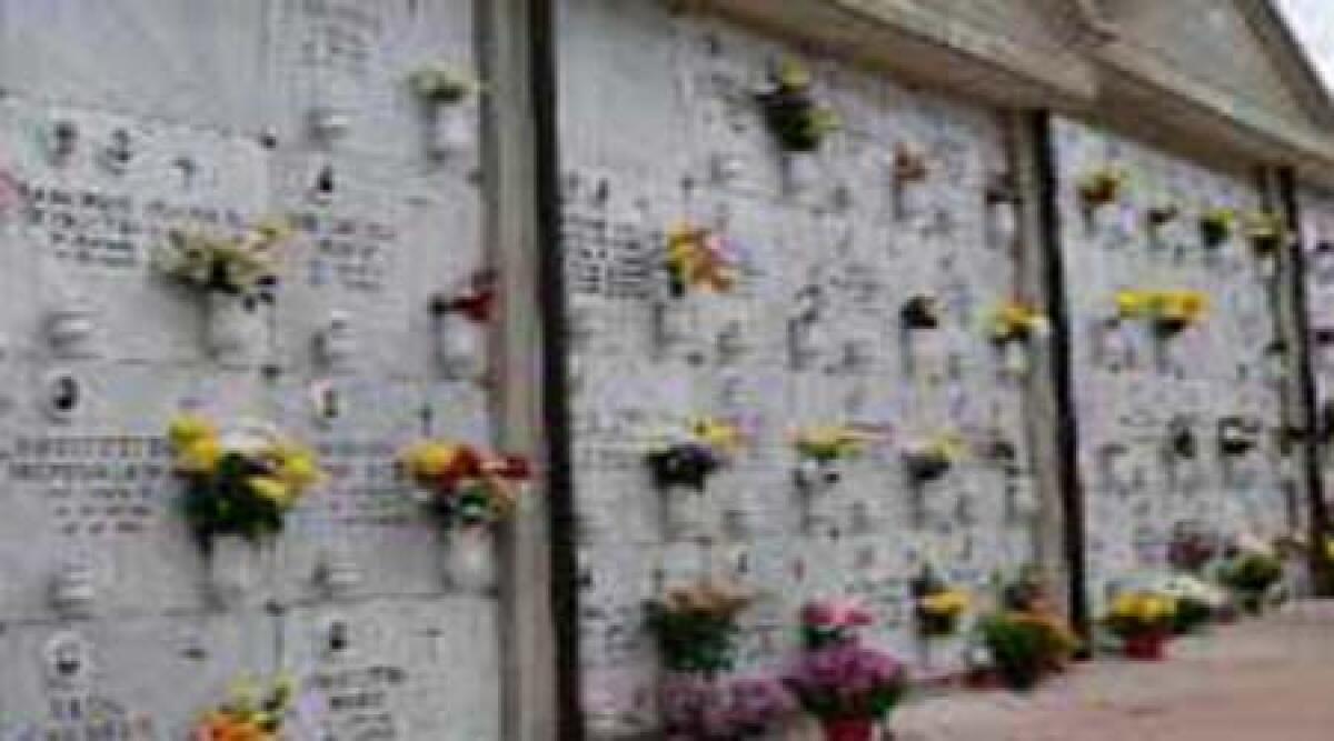 Lavori di manutenzione dei cimiteri del Comune di Rimini - 