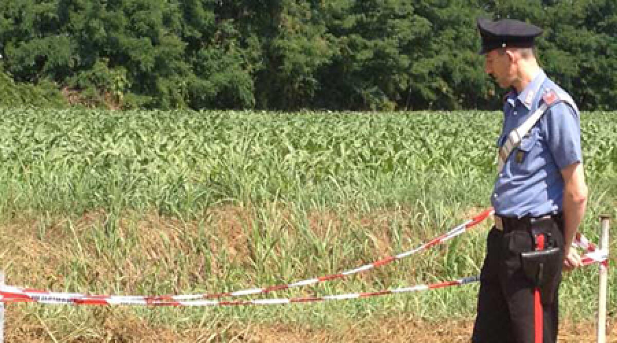 Mentre lavora nei campi trova una bomba della Seconda Guerra Mondiale - 