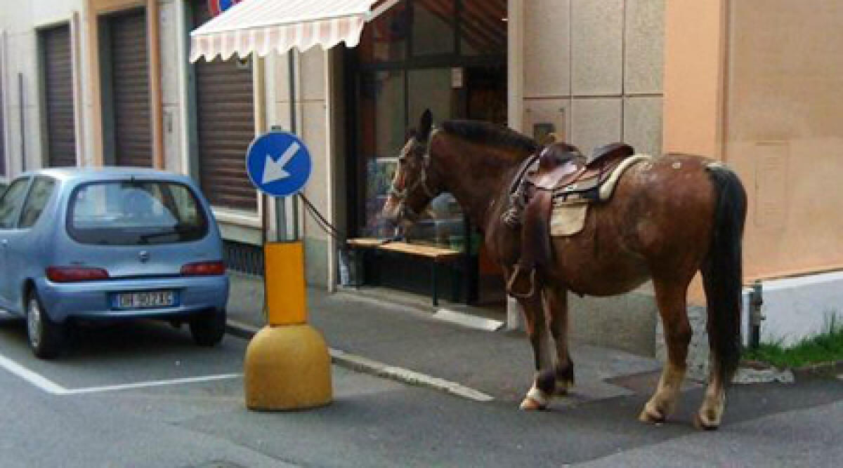 Carabinieri alle prese con cavalli: proprietari al bar, animali al palo - 