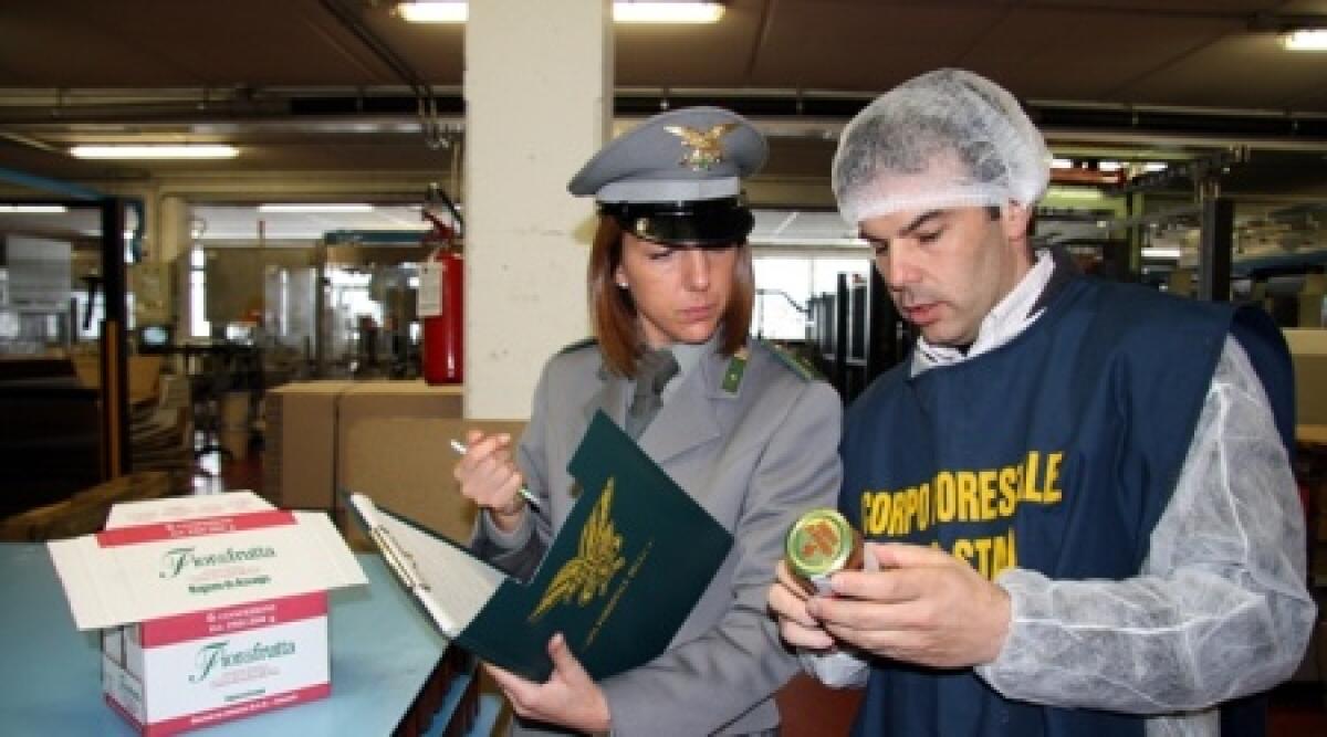 Forestale: Rimini prima per numero e valore sanzioni elevate - 