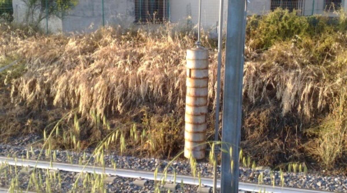 Misano, ordinanza del sindaco: taglio di rami e alberi lungo la linea ferroviaria - 
