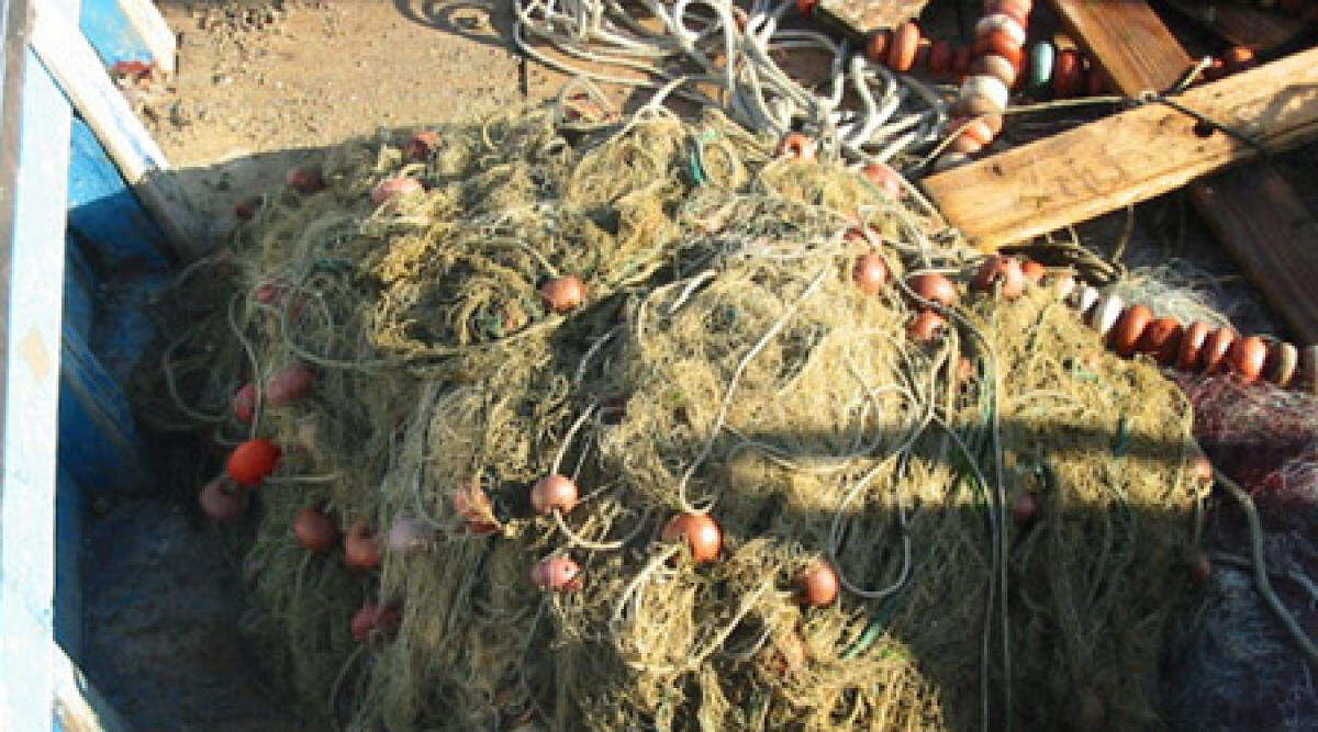 Sicurezza dei pescatori: riunione della Flai Cgil al Teatro Novelli - 