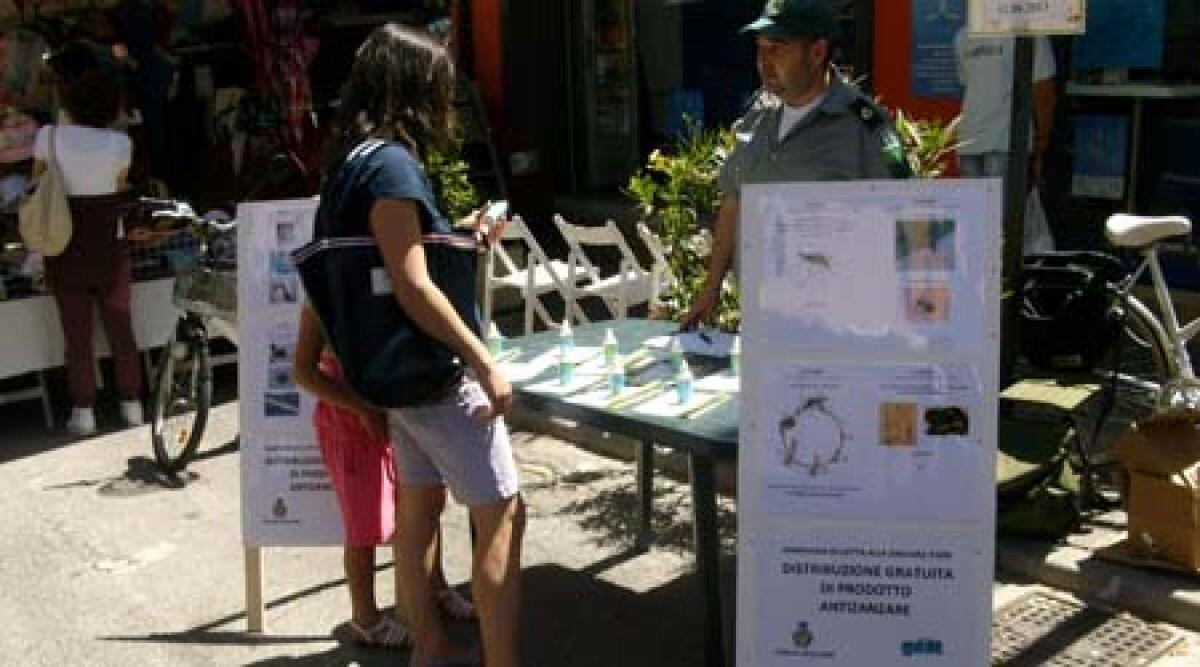 Zanzara tigre: pronti i larvicidi nel comune di Riccione - 