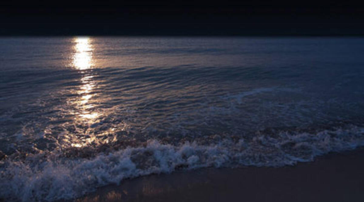 Riccione, tutti nudi per il bagno di mezzanotte. Tornano a riva: spariti soldi e cellulari - 