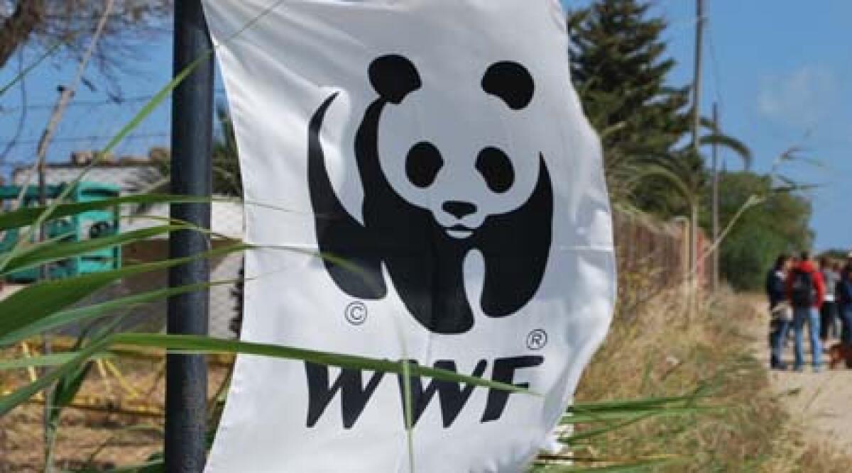 Rimini: lettera aperta del WWF sul verde pubblico a Rimini - 