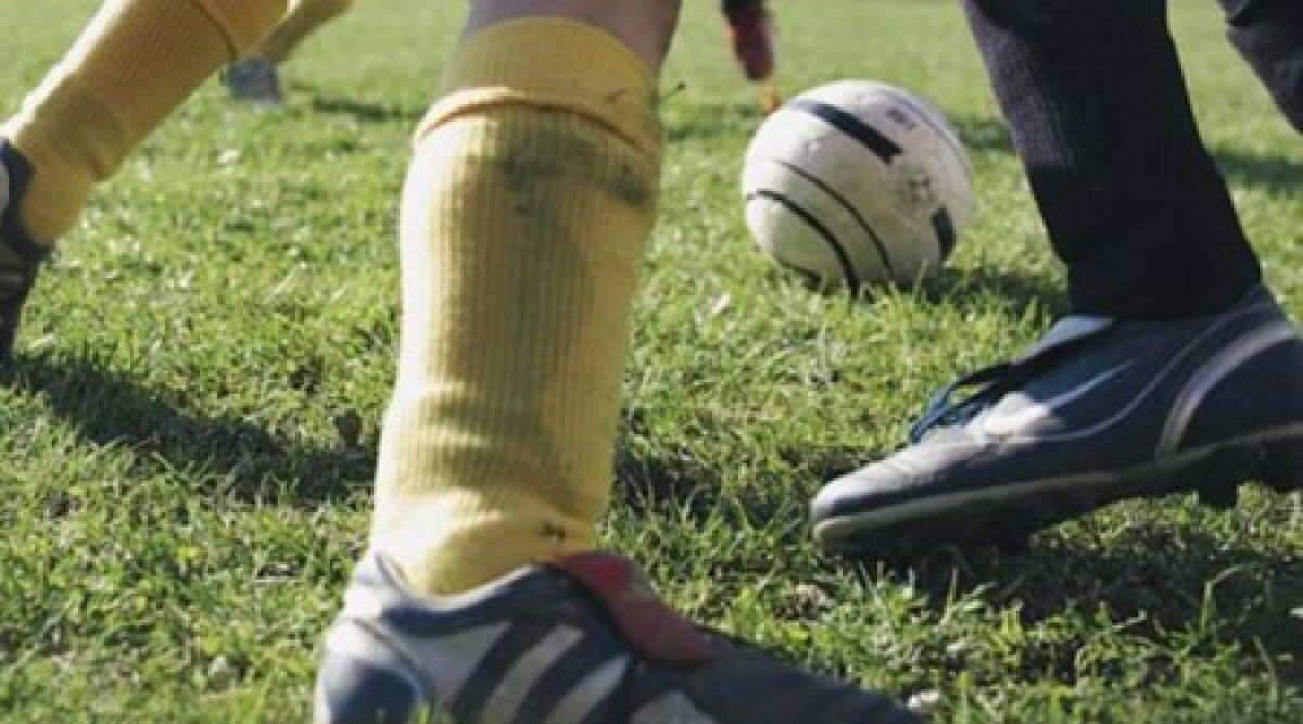 Gestione campi da calcio di Rimini: i Delfini rispondono alle accuse. Bordate al Comune e al Rimini United - 