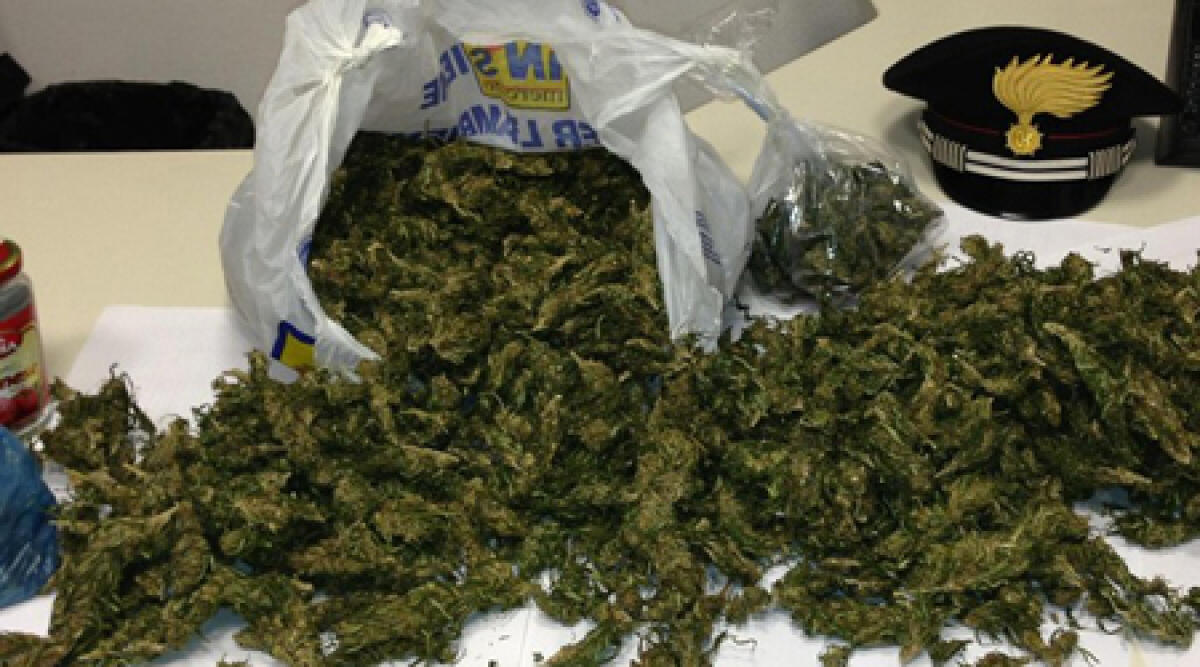 Spacciavano droga: sgominata banda di muratori ed elettricisti. Arresti a Sogliano sul Rubicone - 