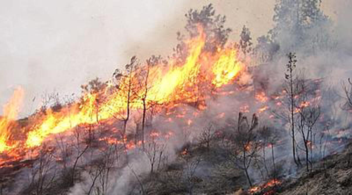Video: integrata l'Alta Valmarecchia nel programma piano Rischi Protezione civile e Incendi Boschivi -