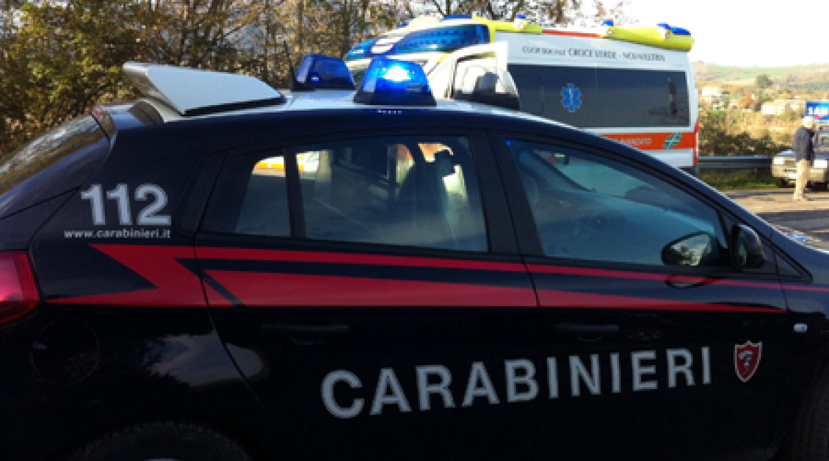 Rimini: meno incidenti, ma 8000 punti ritirati dalla patente. C'&egrave; anche chi guida con il cane in braccio - 